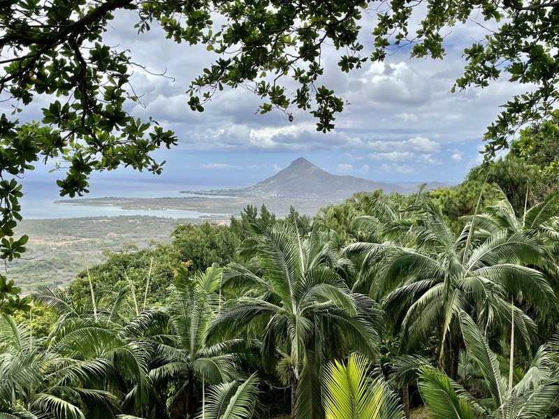 Blick vom Chamarel Nationalpark bis nach Le Morne<br>