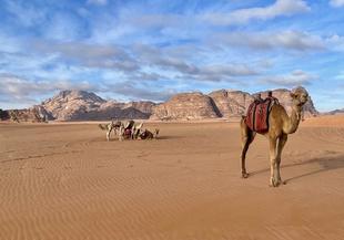 Jordanien - große Vielfalt in einem kleinen Land (Teil 1)