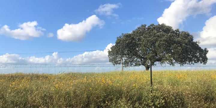 Alentejo – unberührte Natur und ein Dorf voller Tradition