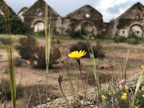 Verlassene Minenstadt im Alentejo