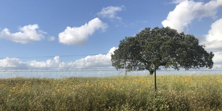 Alentejo – unberührte Natur und ein Dorf voller Tradition