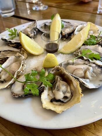 Noisy Oyster Paternoster