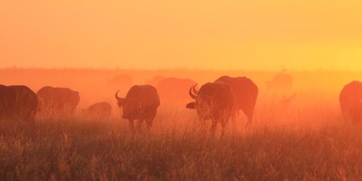 Simbabwe – viel mehr als nur Safari (Teil 2)