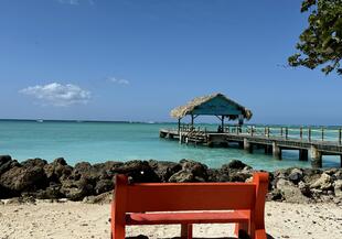 Tobago - ein Karibiktraum, der wirklich noch ein Geheimtipp ist