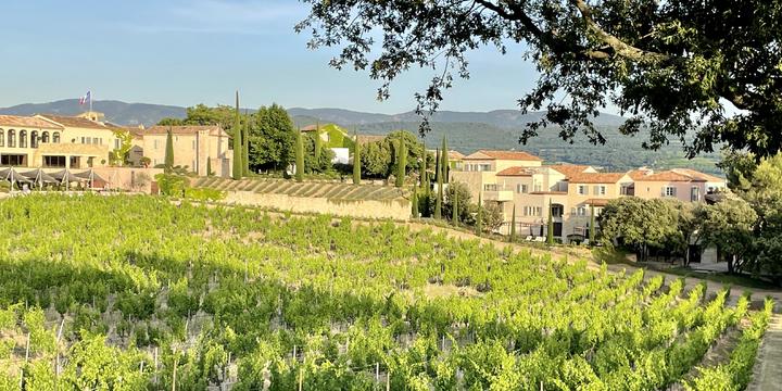 Provence – Lavendelduft und Zikadenklänge bei einem guten Wein
